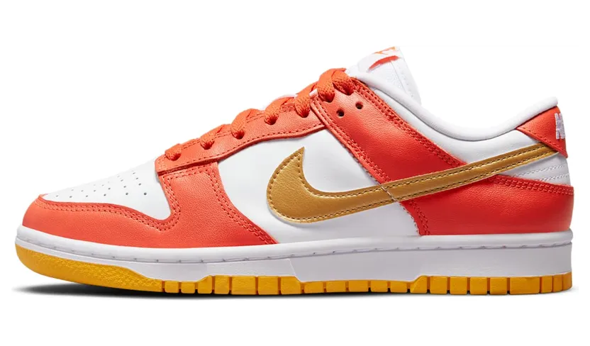 Nike Dunk Low (DQ4690-800)