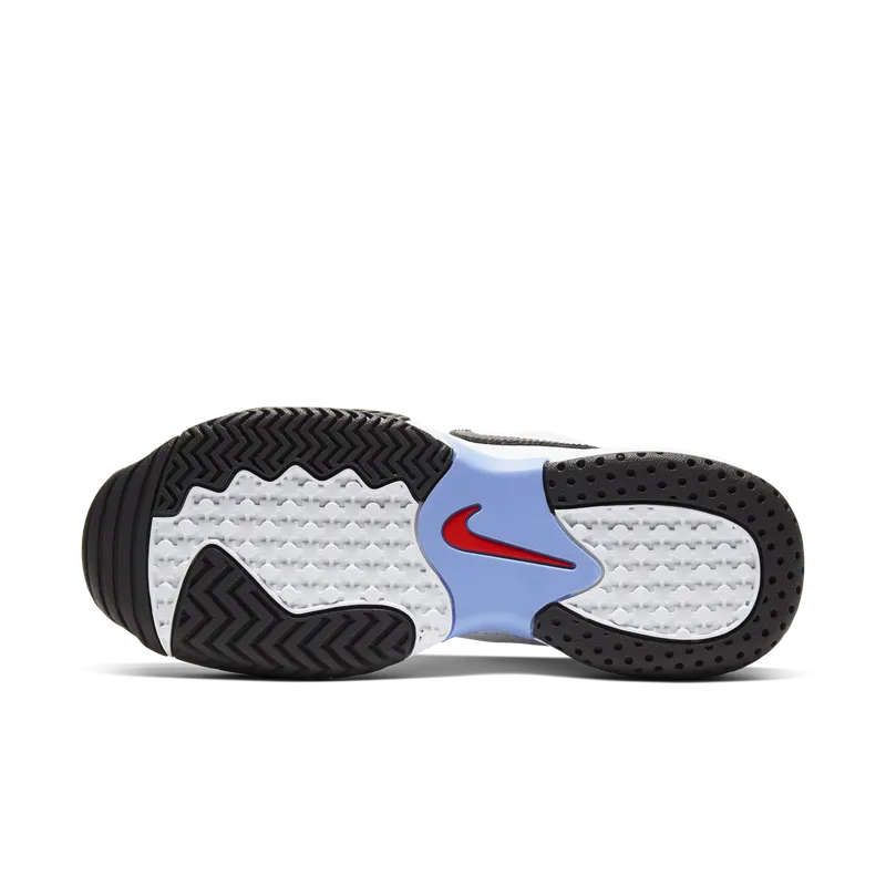 NikeCourt Lite 2 Hardcourt White (AR8838-103)