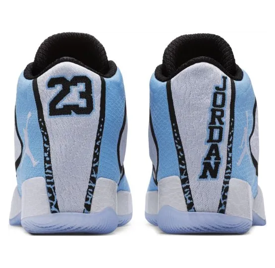 air-jordan-29 695515-117