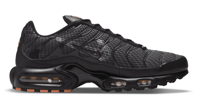 Nike Air Max Plus 3D Swoosh Black (DR0138-001)