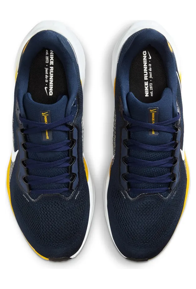 nike-air-zoom IB3269-400