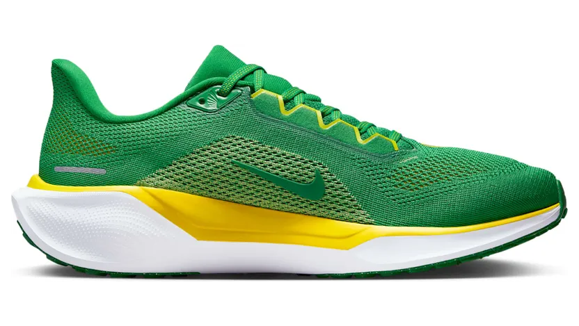 nike-air-zoom FZ5138-300
