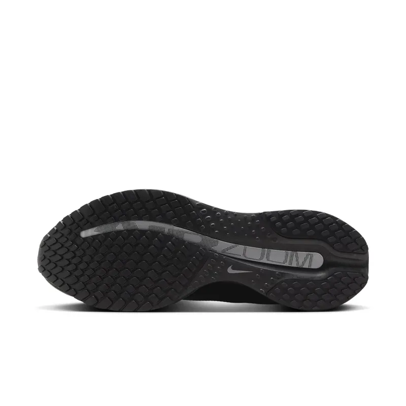 Nike Pegasus Premium “Black Metallic Silver” (HQ2592-005)