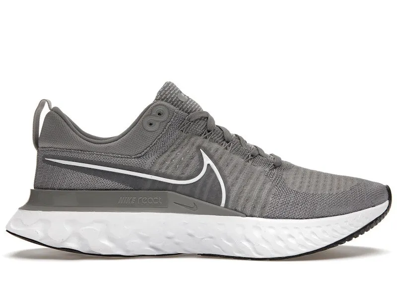 Nike React Infinity Run Flyknit 2 Particle Grey (CT2357-001)