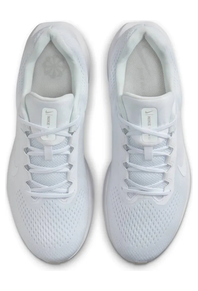 nike-winflo FJ9509-100