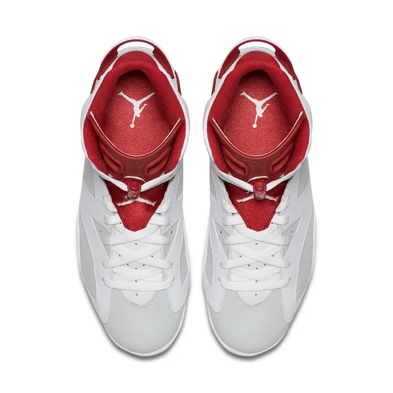 Air Jordan Nike AJ 6 VI Retro Alternate Hare (384664-113)