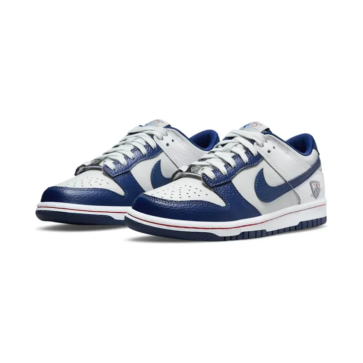 nike-dunk DO6288-001