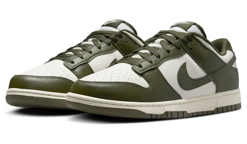 nike-dunk HF5441-102
