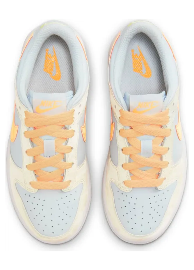 nike-dunk FB9108-100