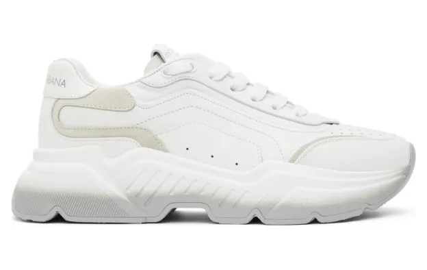 Dolce and Gabbana White and Grey Gradient Daymaster Sneakers (CS1805AW177)