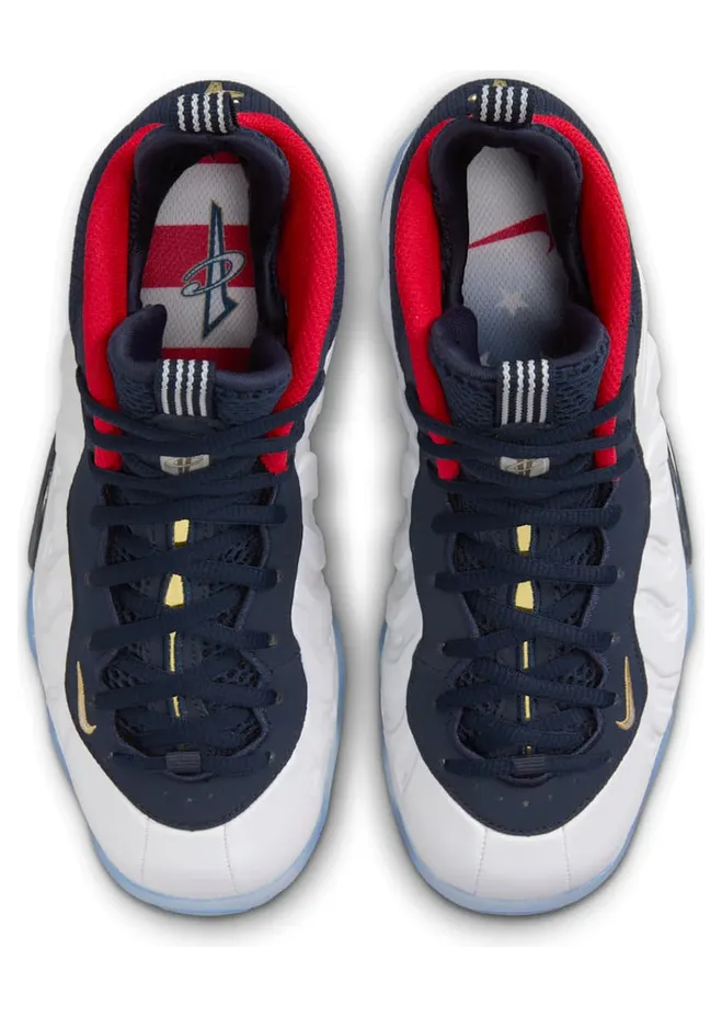 nike-little-posite 644791-403