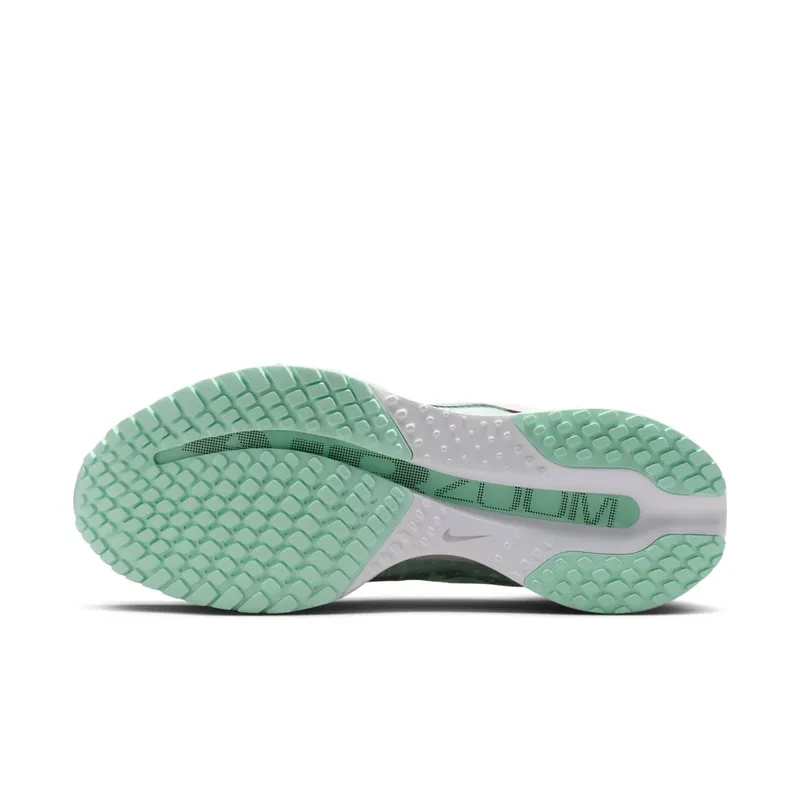 Nike Pegasus Premium “White Mint Foam” (HQ2593-103)