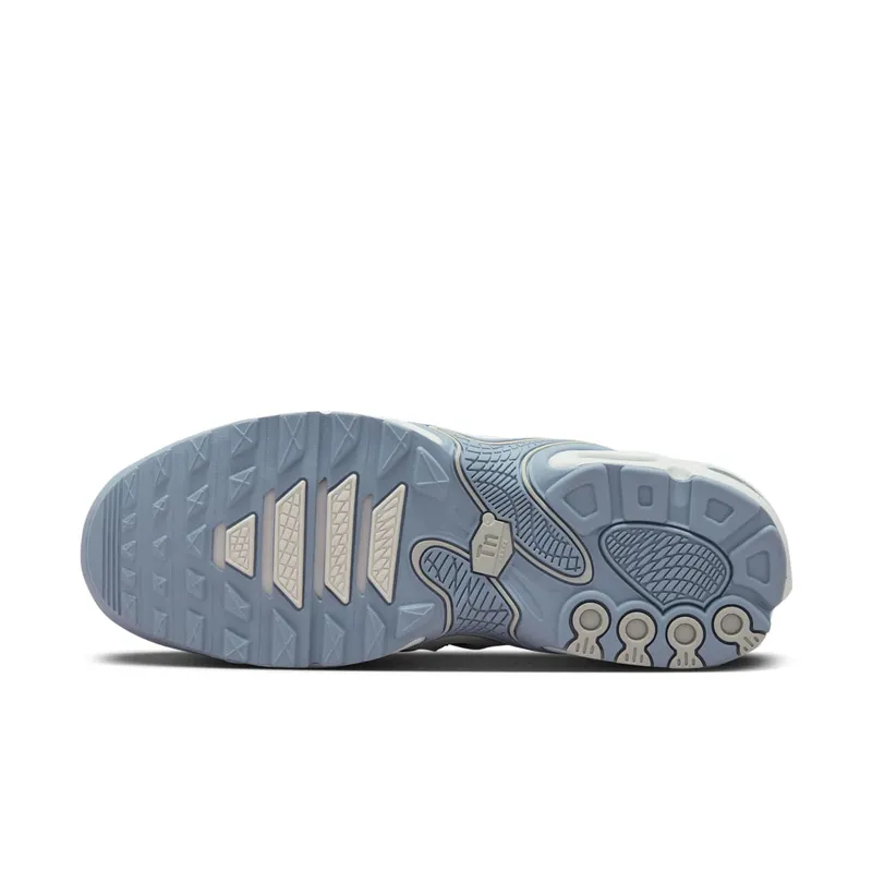 Nike Air Max Plus Drift Ashen Slate (FV4081-101)