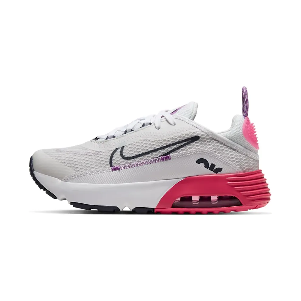 Nike Air Max 2090 Grau (CU2093-003)