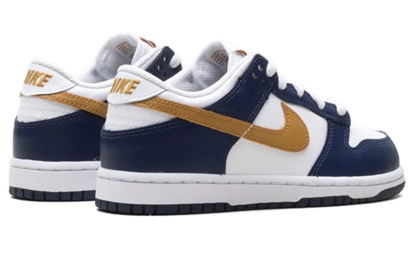 nike-dunk FB9108-111