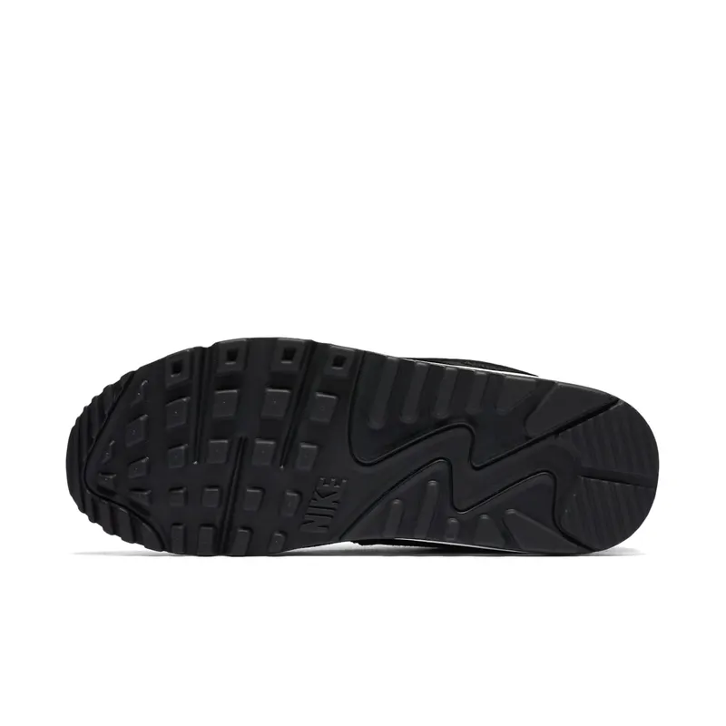 Nike Air Max 90 Spring Garden (W) (881105-001)