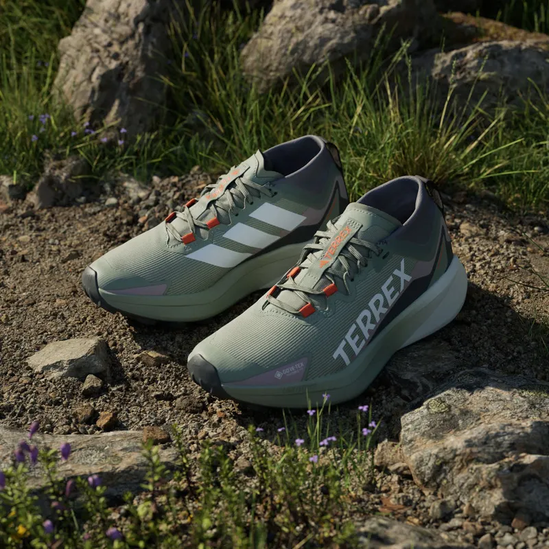 Adidas Terrex Agravic GTX Trail Running Silver Green / Cloud White / Preloved Fig (JP7253)