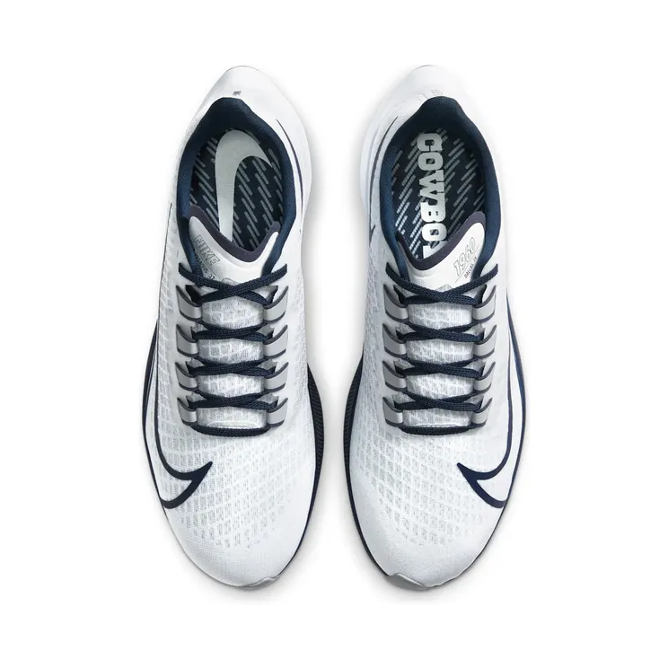 nike-air-zoom CZ5444-100