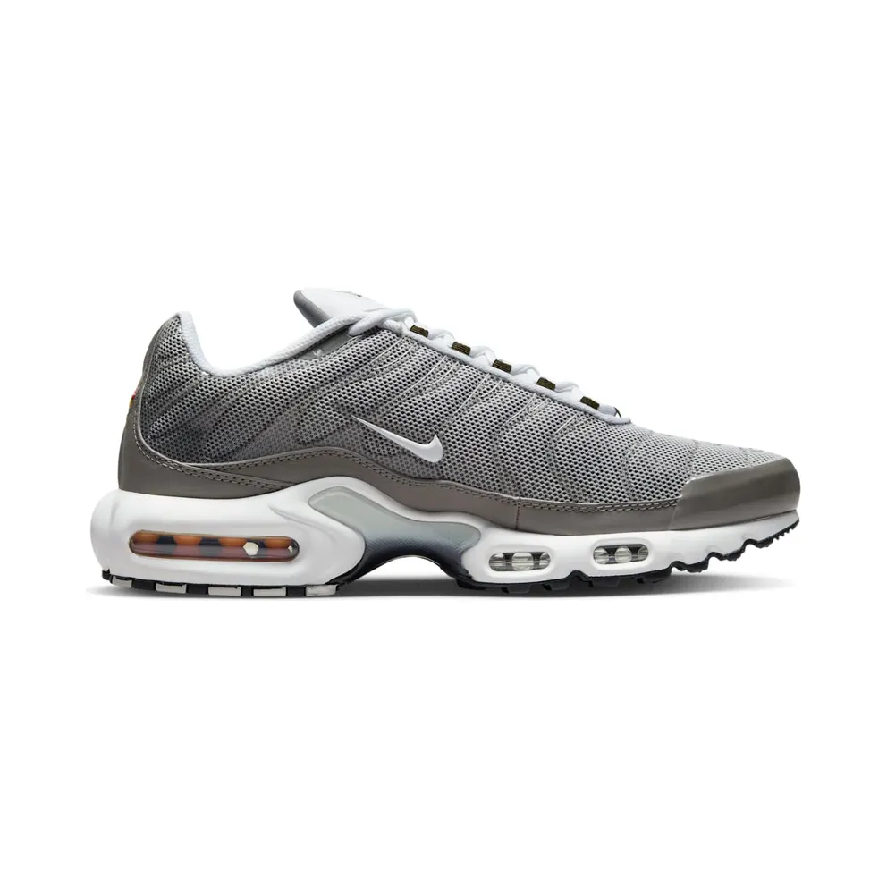 Nike Air Max Plus Flat Pewter (DV7665-002)
