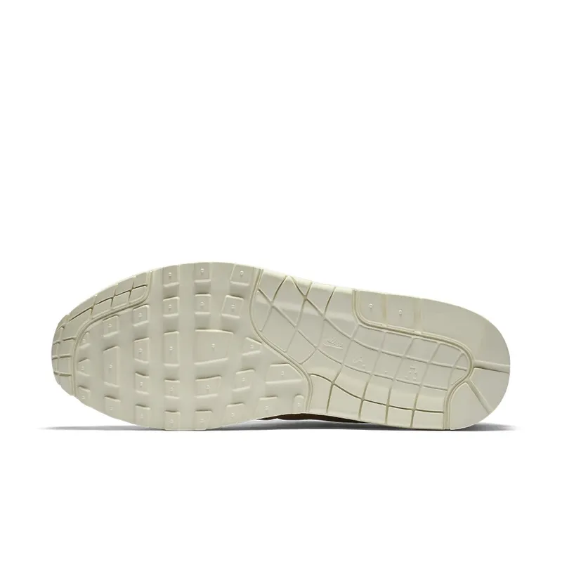 Nike Air Max 1 Pinnacle Mushroom (859554-200)