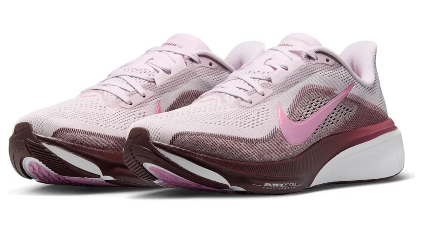 nike-air-pegasus IB1881-501