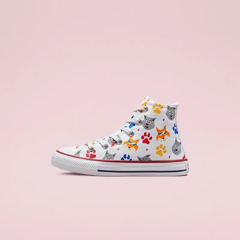 Converse Chuck Taylor All Star Wolf Pack (672912C)