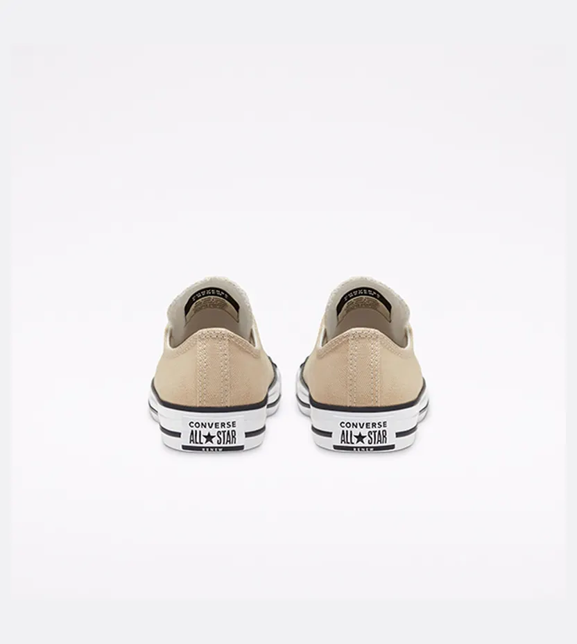 converse-chuck-taylor-all-star 167646C