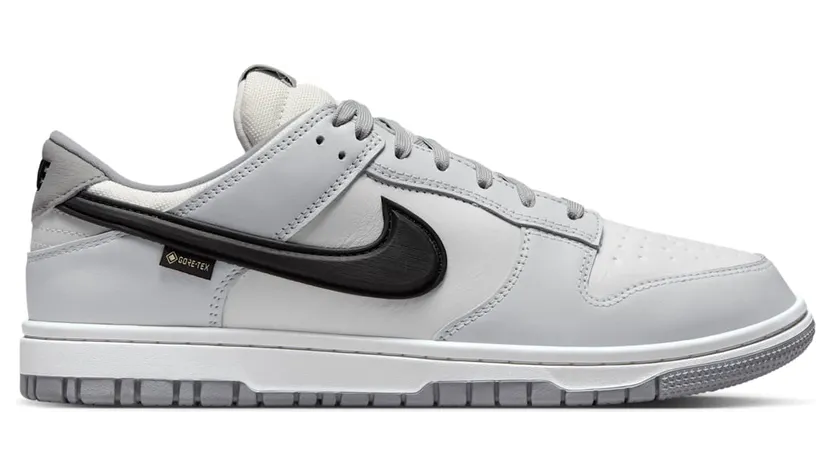 nike-dunk HQ2053-100