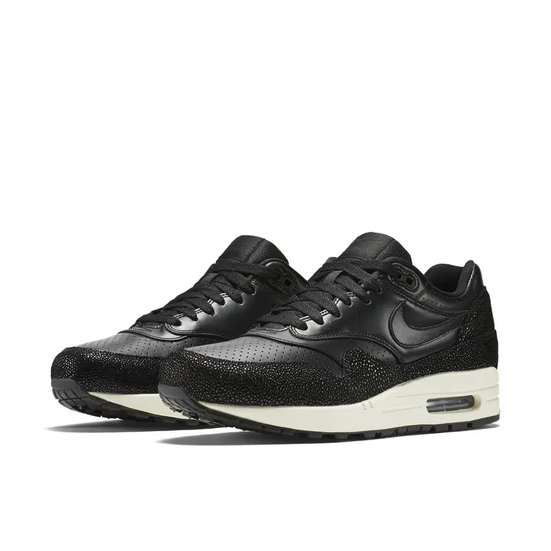 Nike Air Max 1 Stingray Pack Black/Black-Black-Sea Glass (705007-001)