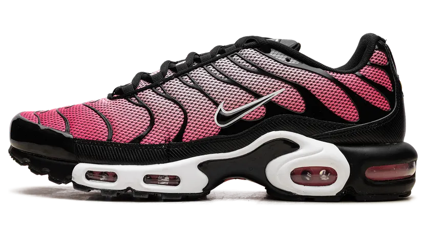 Nike Air Max Plus “All Day” (HF3837-600)