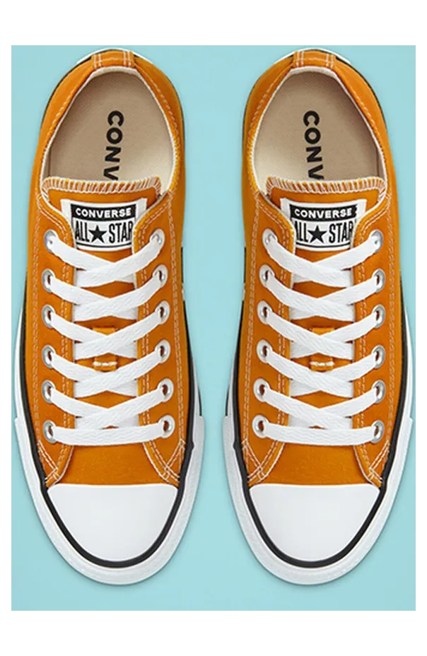 converse-chuck-taylor-all-star 168578C