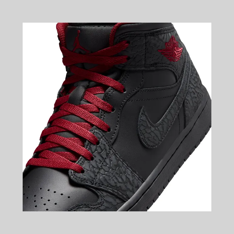 air-jordan-1 IX3527-010