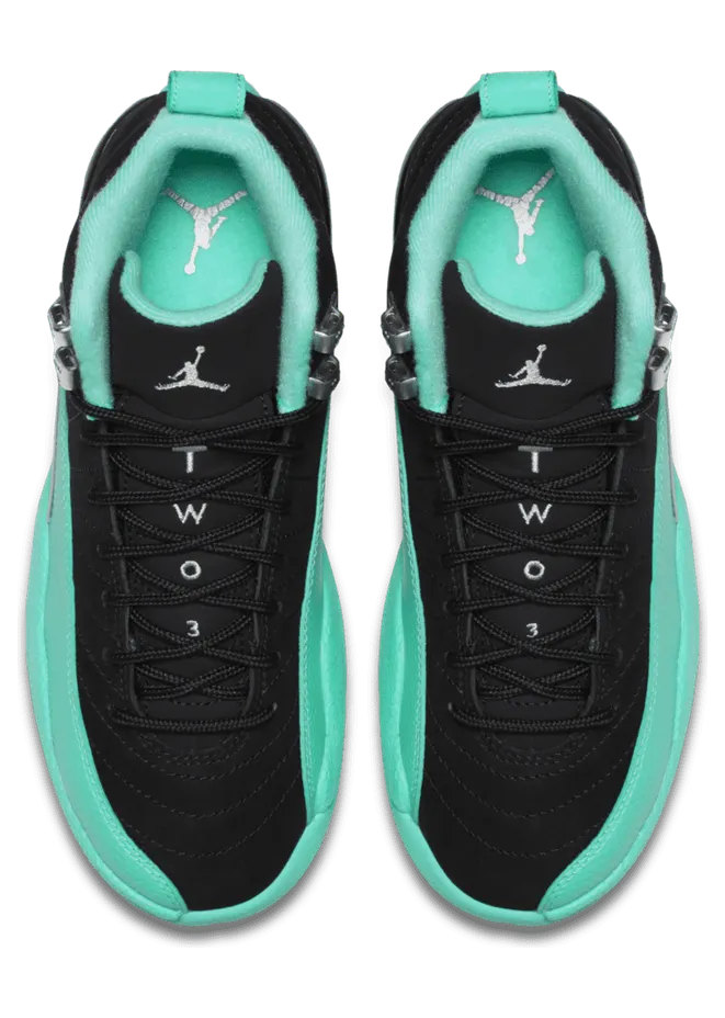 air-jordan-12 510815-017