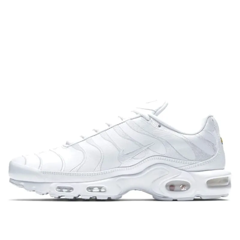 Nike Air Max Plus White (AJ2029-100)