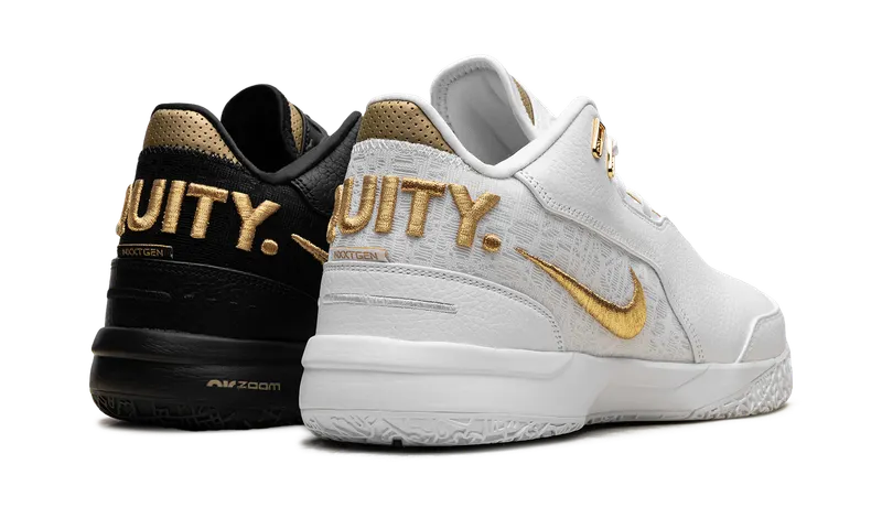 Nike Zoom LeBron NXXT Gen “Equity” (FJ1566-103)