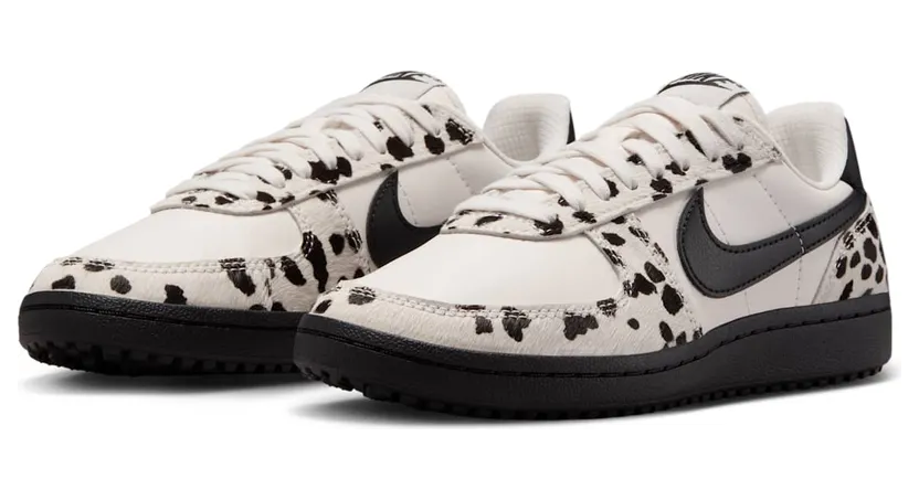 nike-field-general IB2323-001