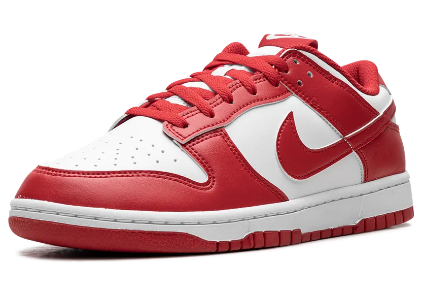 nike-dunk HF5441-104