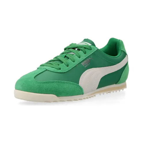 puma-arizona 398682_03