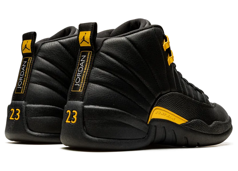 air-jordan-12 CT8013-071