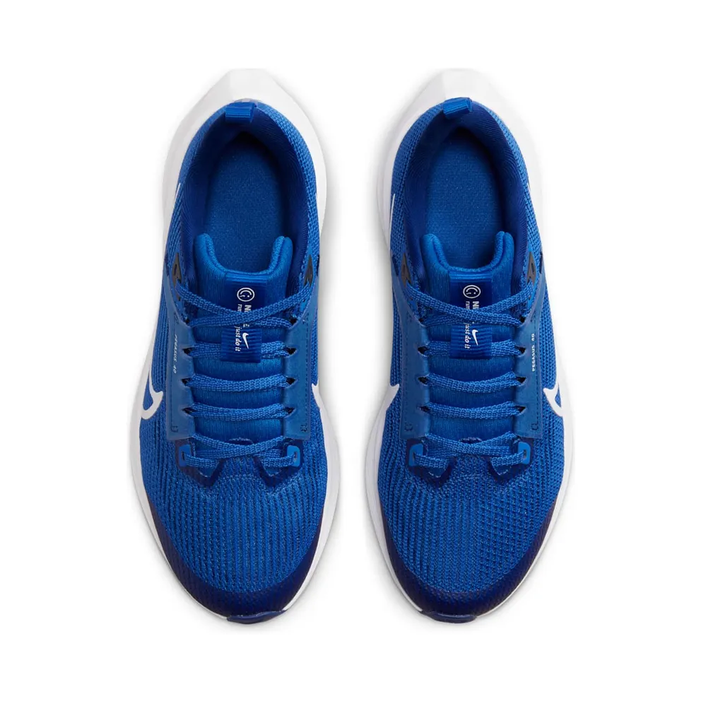Nike Air Zoom Pegasus 40 “Game Royal / Deep Royal Blue / White” (DX2498-400)