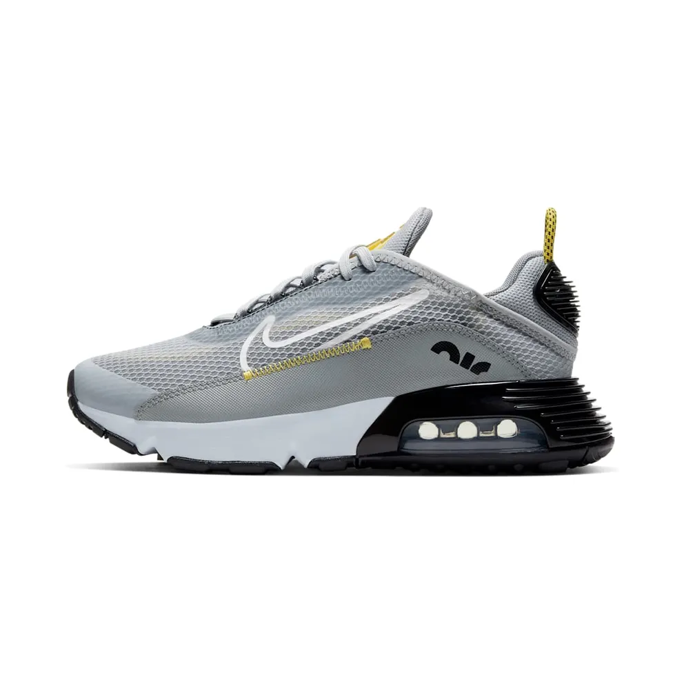 Nike Air Max 2090 Grau (CJ4066-002)