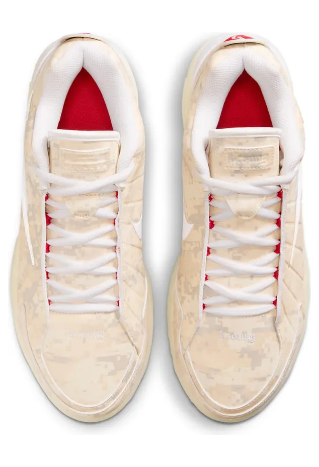 nike-lebron IO7381-100