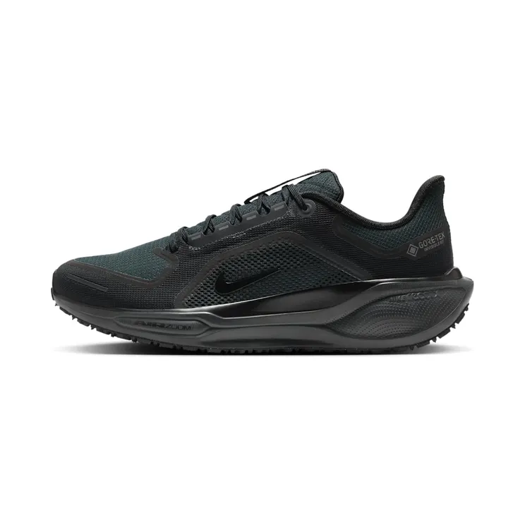 Nike Air Zoom Pegasus 41 GTX “Black / Anthracite” (FQ1356-001)