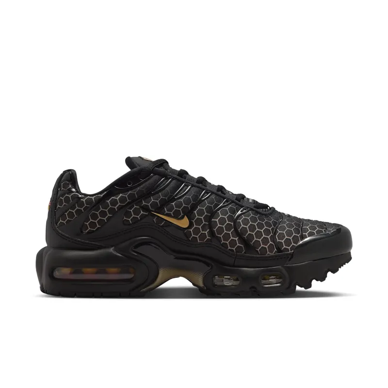 Nike Air Max Plus Black/Chalk/Baroque Brown/Linen (IQ7580-010)