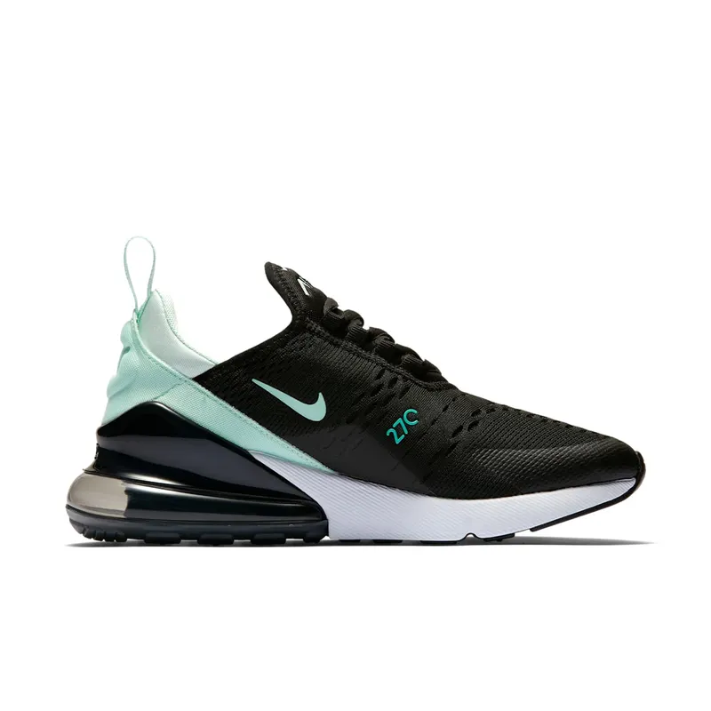 Nike Air Max 270 Igloo (W) (AH6789-008)