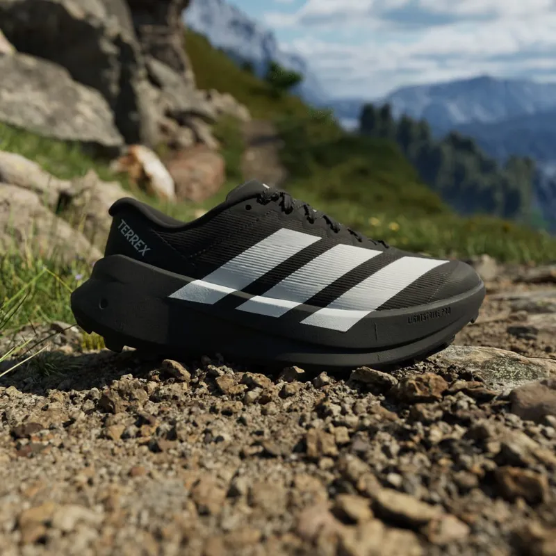 Adidas Terrex Agravic SL Trailrunningschoenen Core Black / Grey Two / Core Black (KH8804)