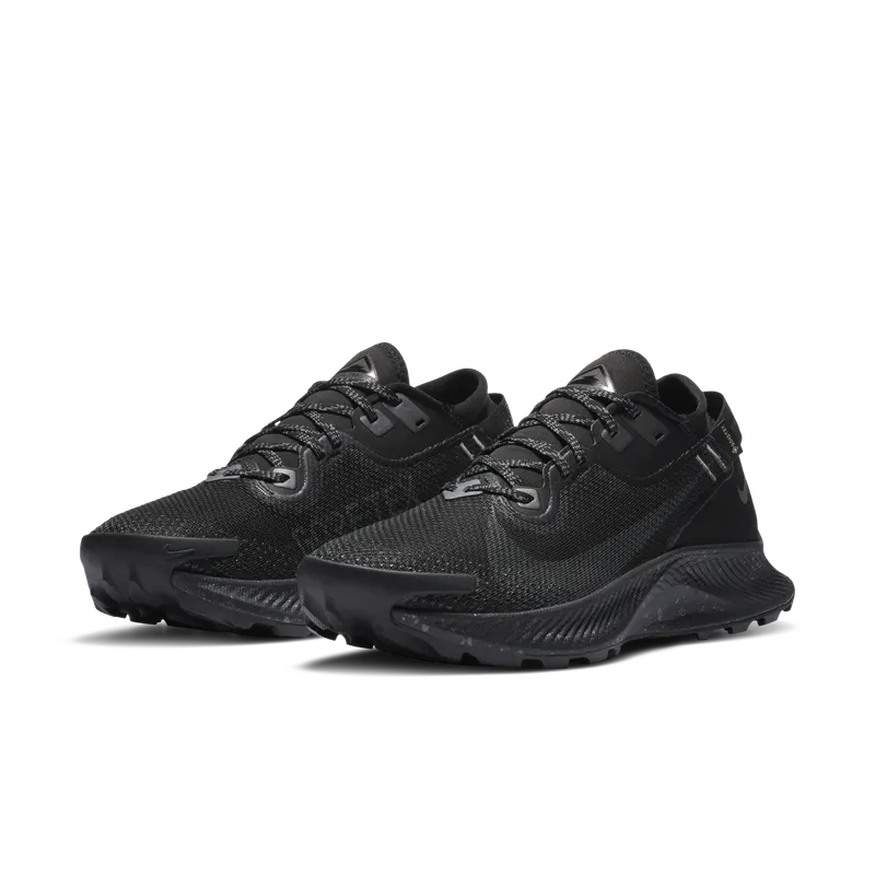 Nike Pegasus Trail 2 GORE-TEX Trail Running Black (CU2018-001)