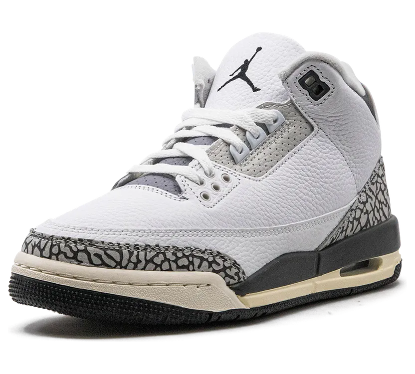 air-jordan-3 DX6665-100