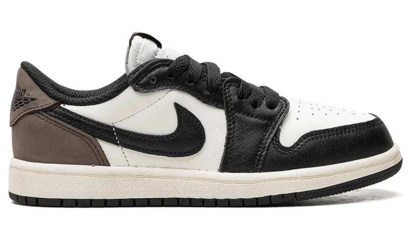 air-jordan-1 FQ5436-102
