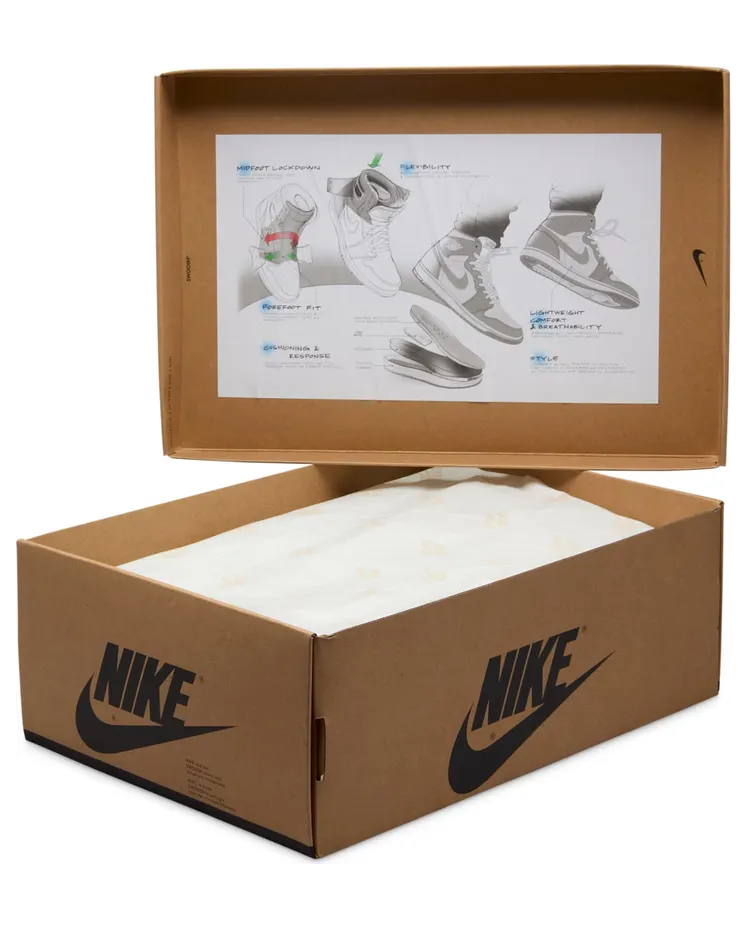 air-jordan-1 DV1305-040
